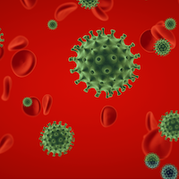 Corona-Virus in der Fahrschule - Wer bezahlt den Verdienstausfall?